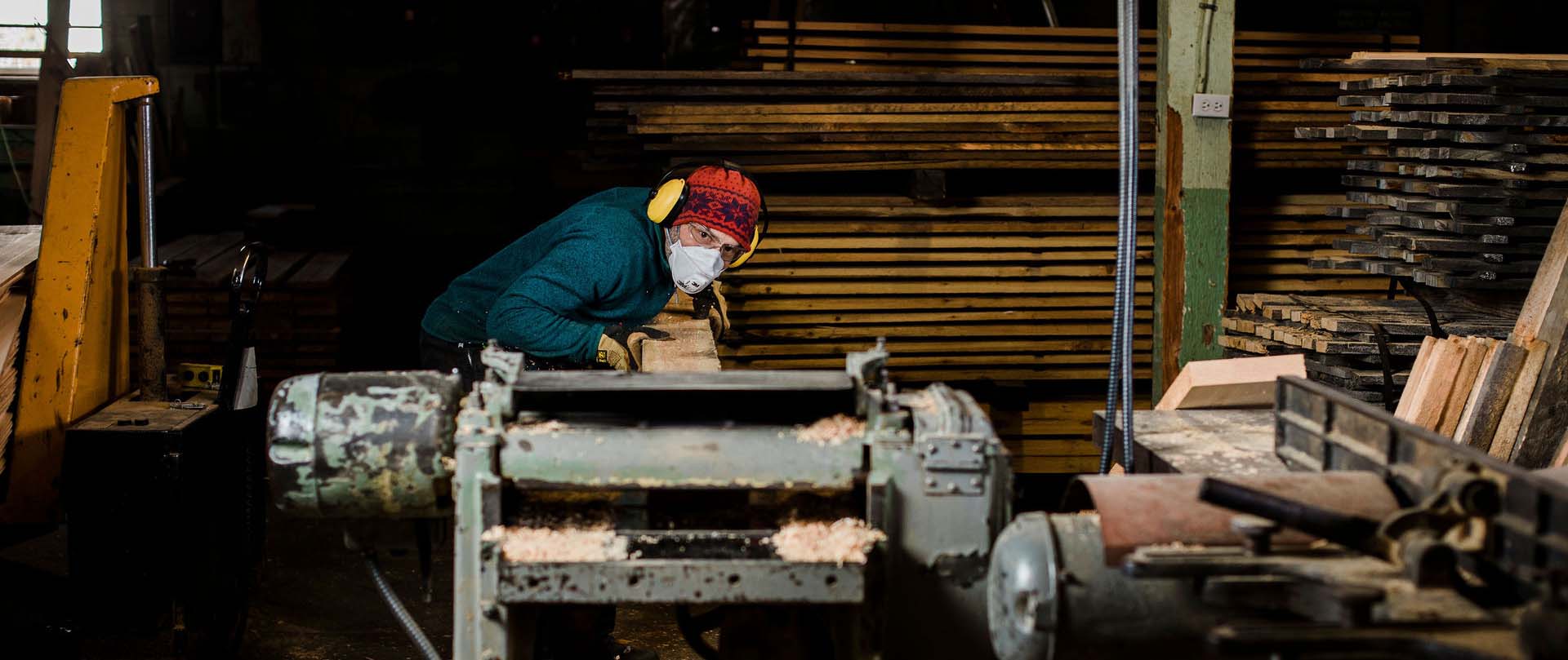 forestry opportunities in the region