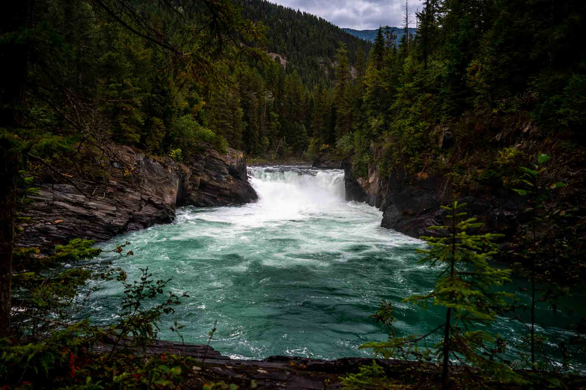 Nature photo for the slider